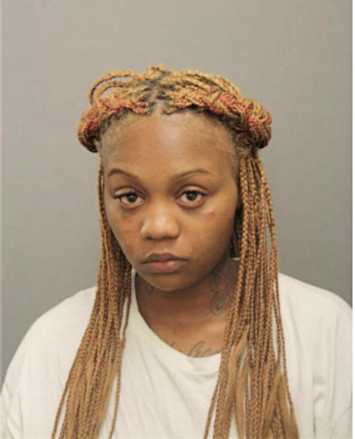 TASHEEMA T JENKINS, Cook County, Illinois