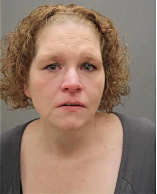 HEATHER MARIE JONES, Cook County, Illinois