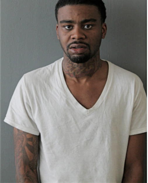 KRISTOPHER C LEAKE, Cook County, Illinois