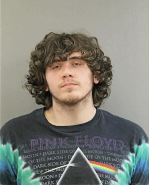 DYLAN S NEWLIN, Cook County, Illinois