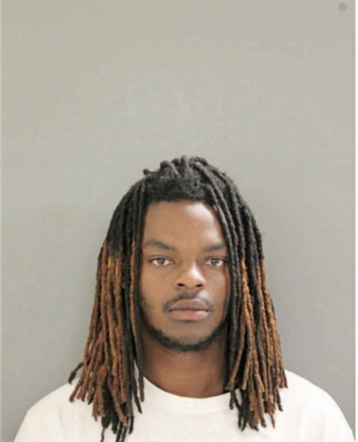AARON A OKELOLA, Cook County, Illinois