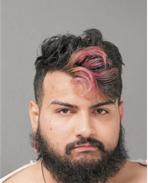 WILLIAM J OROZCO GONZALEZ, Cook County, Illinois