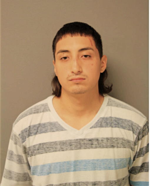 ALEJANDRO ORTIZ, Cook County, Illinois