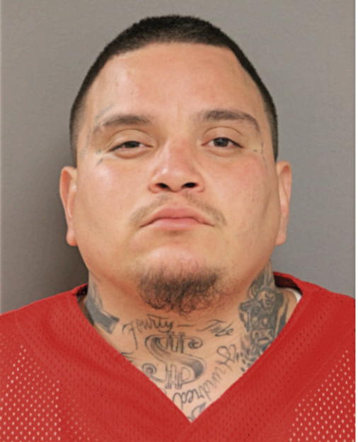 DAVID PEREZ, Cook County, Illinois
