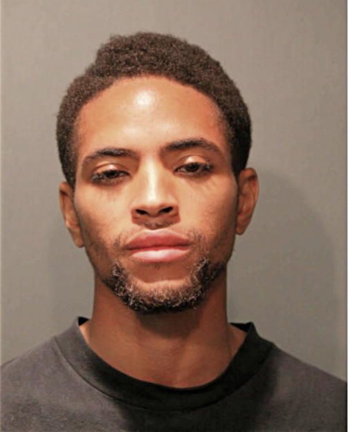 JOHNATHAN E REYNOLDS, Cook County, Illinois