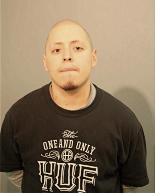 HUGO RODRIGUES, Cook County, Illinois