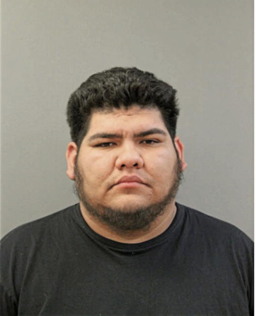 ETNI J RODRIGUEZ, Cook County, Illinois