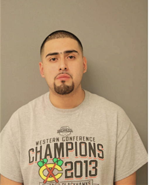 LUIS A ROMAN, Cook County, Illinois