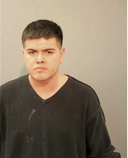 MICHAEL A ROMERO, Cook County, Illinois