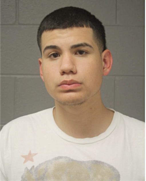 CHRISTIAN ROSALES, Cook County, Illinois