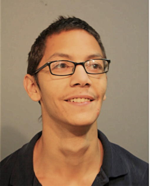 ANTHONY J SALAZAR, Cook County, Illinois