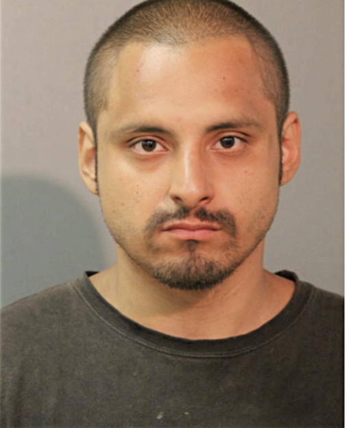 FRANCISCO J VEGA, Cook County, Illinois