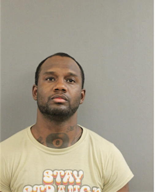 TAIWON D YOUNG, Cook County, Illinois