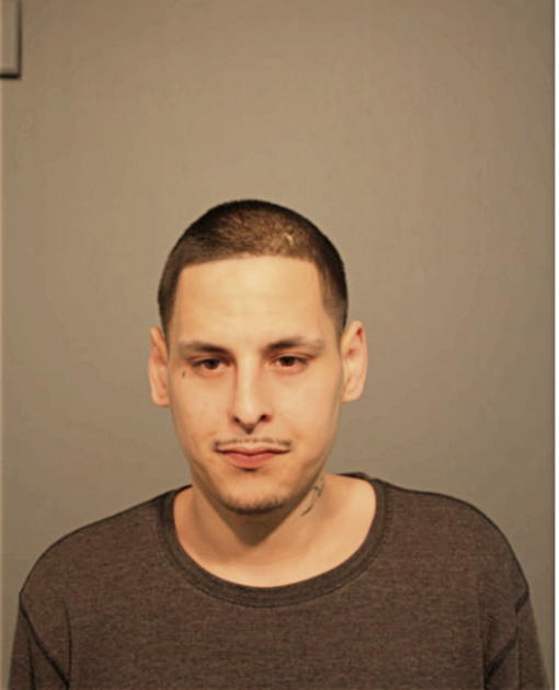 ANTHONY J ZAFIRO, Cook County, Illinois