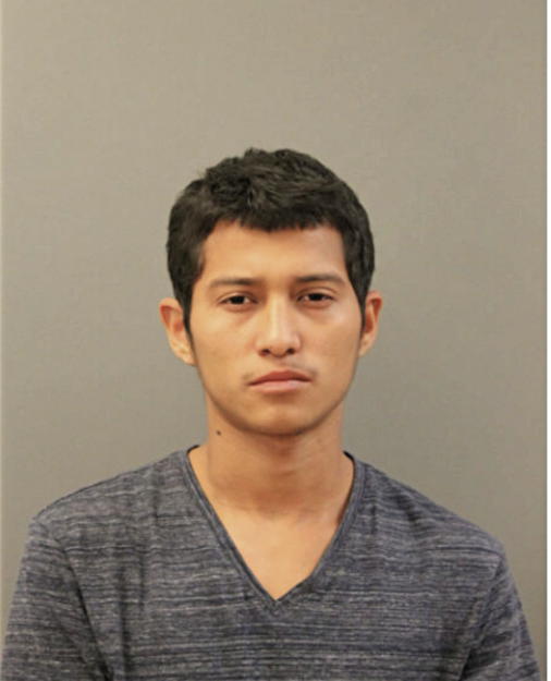 ANDRES ZARATE, Cook County, Illinois