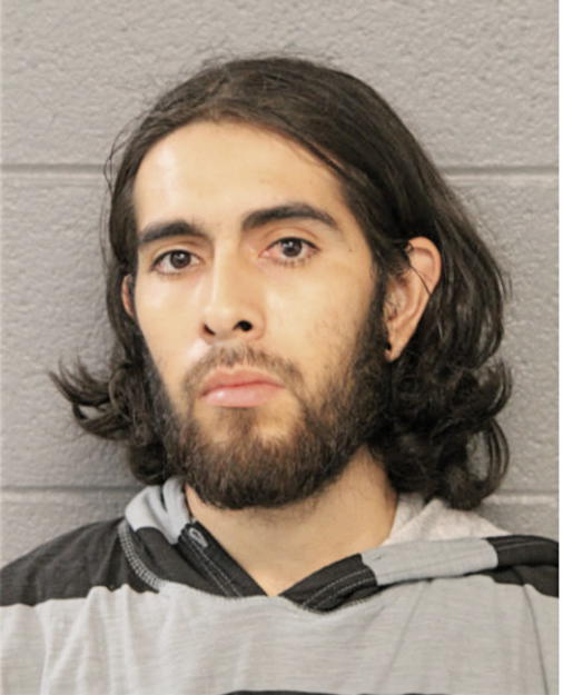 DIEGO ACEVEZ, Cook County, Illinois