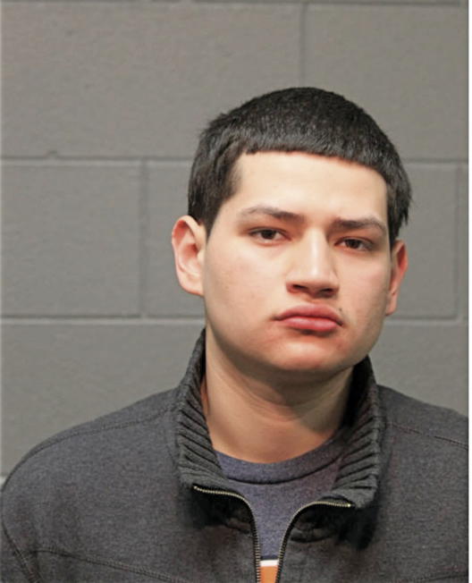 FRANCISCO ALVARES, Cook County, Illinois