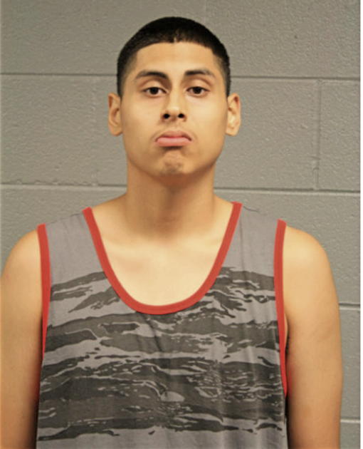 LUIS A ARCEO, Cook County, Illinois