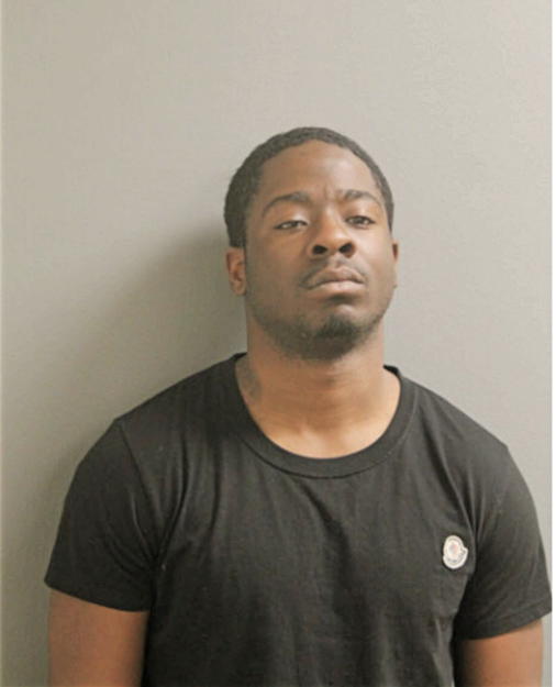 MICHAEL M AUSTIN, Cook County, Illinois