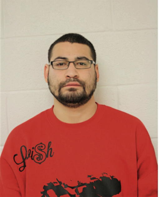 LUIS A BERDECIA, Cook County, Illinois