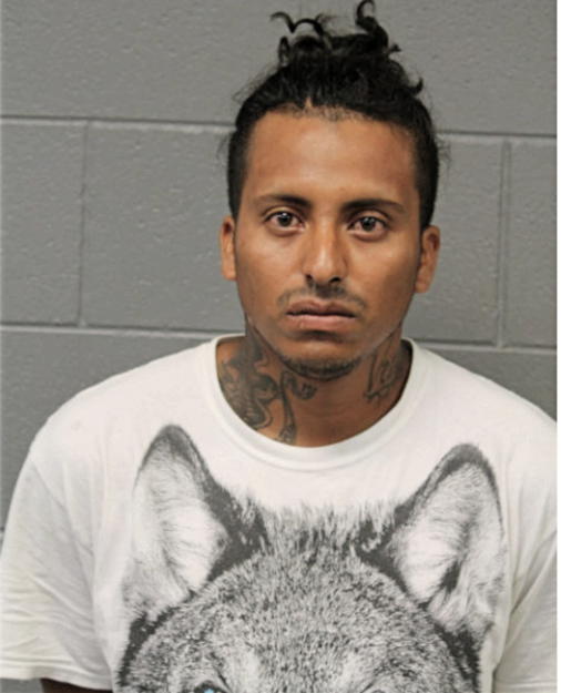 OTON MARCELO CANSECO-ORDONEZ, Cook County, Illinois