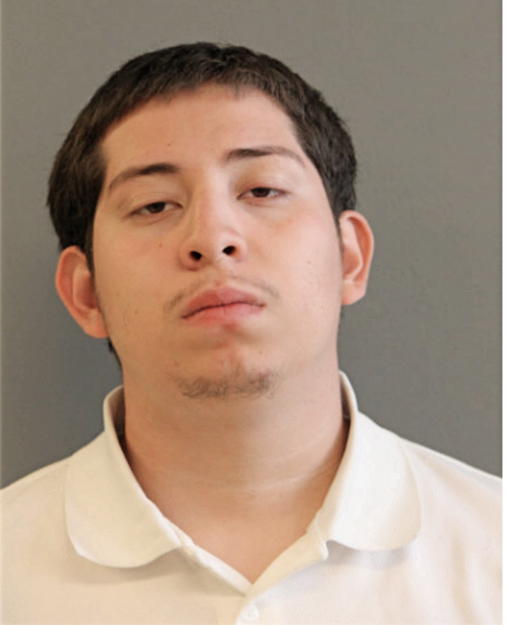 JUAN F DOMINGUEZ, Cook County, Illinois