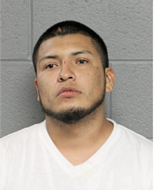 JOSE A GARCIA-ARROYO, Cook County, Illinois