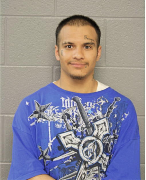 EFRAIN R GONZALEZ, Cook County, Illinois