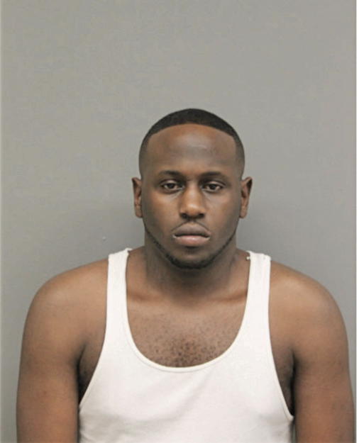 STEVEN W HOUGH, Cook County, Illinois