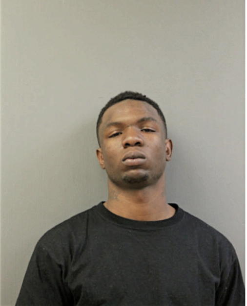 TERRANCE A JOHNSON, Cook County, Illinois