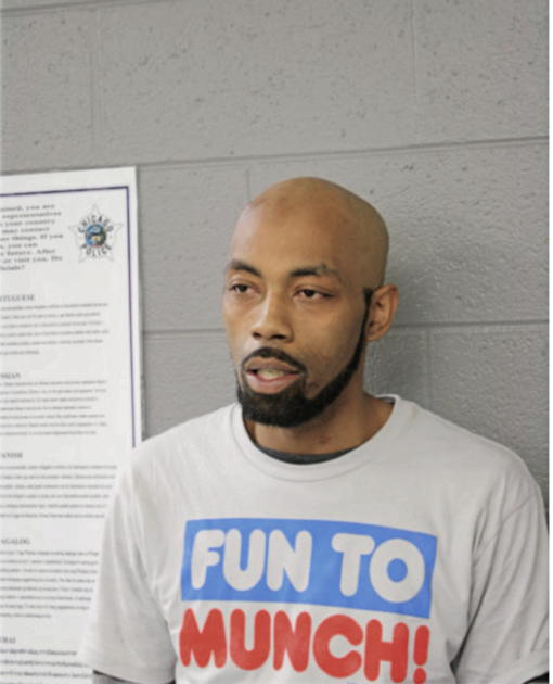 DAVID L JONES, Cook County, Illinois