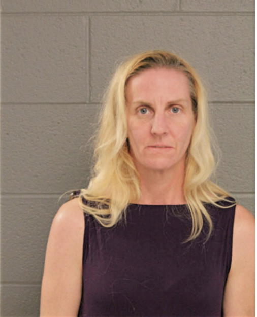 KARINA L KANE, Cook County, Illinois