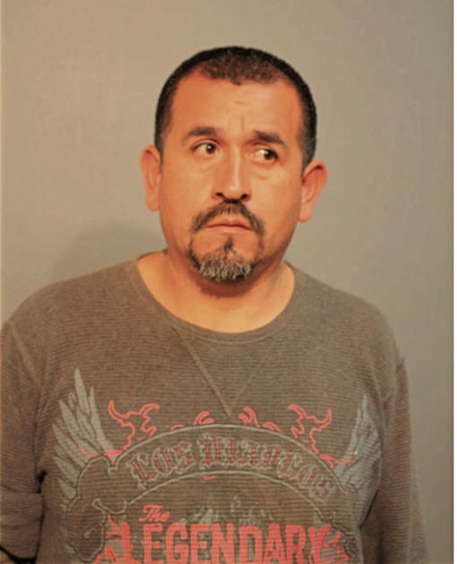 LUIS LANDA, Cook County, Illinois
