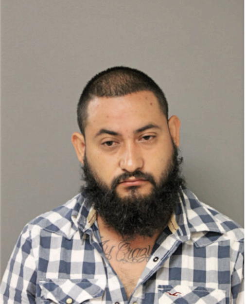LEOPOLDO MILLAN-GOMEZ, Cook County, Illinois