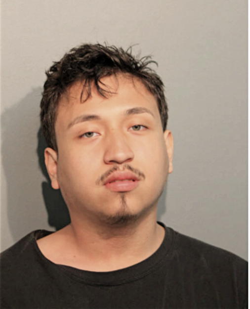 DAVID NAVARRO, Cook County, Illinois