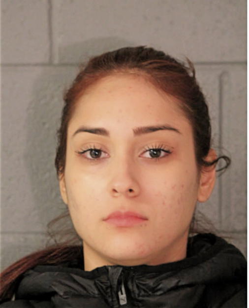 DIANA NAVARRO, Cook County, Illinois
