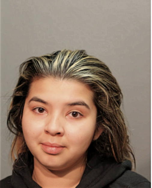 JAZMIN L RUIZ, Cook County, Illinois