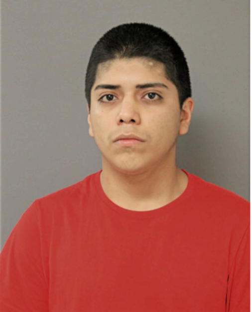 ANTONI FLORES SIERRA, Cook County, Illinois