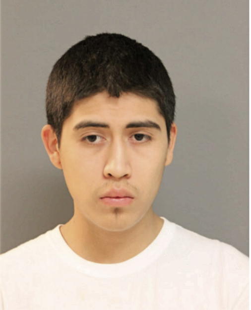 OSWALDO A ALVAREZ, Cook County, Illinois