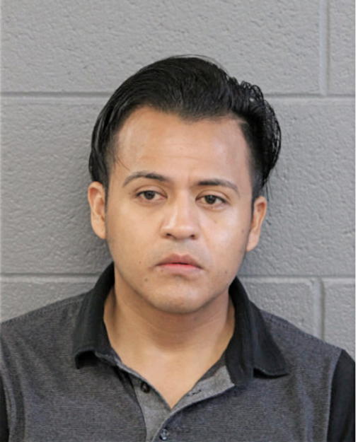 WILIAN AVILA, Cook County, Illinois