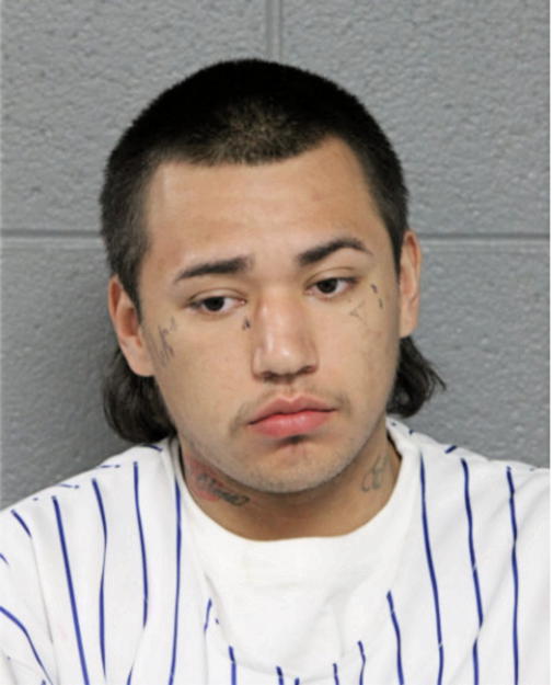 JAVIER L CANO, Cook County, Illinois