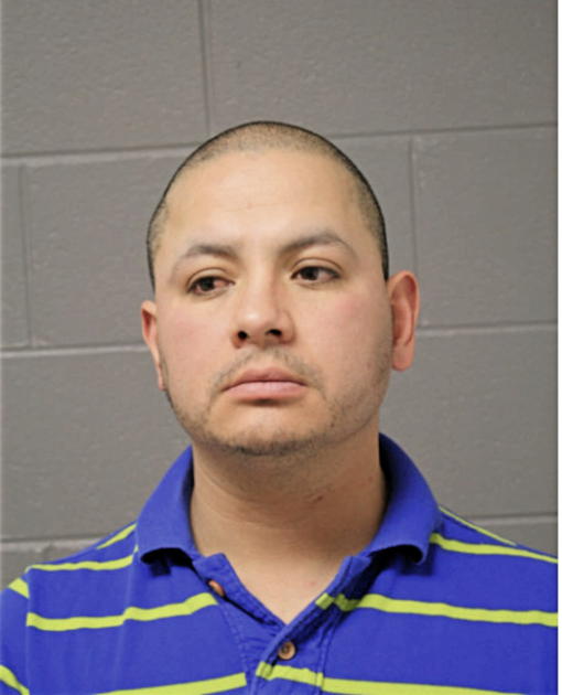 EFRAIN J CRUZ-DIAZ, Cook County, Illinois