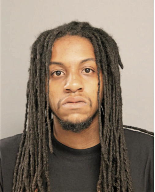 DEREK L DAVENPORT, Cook County, Illinois