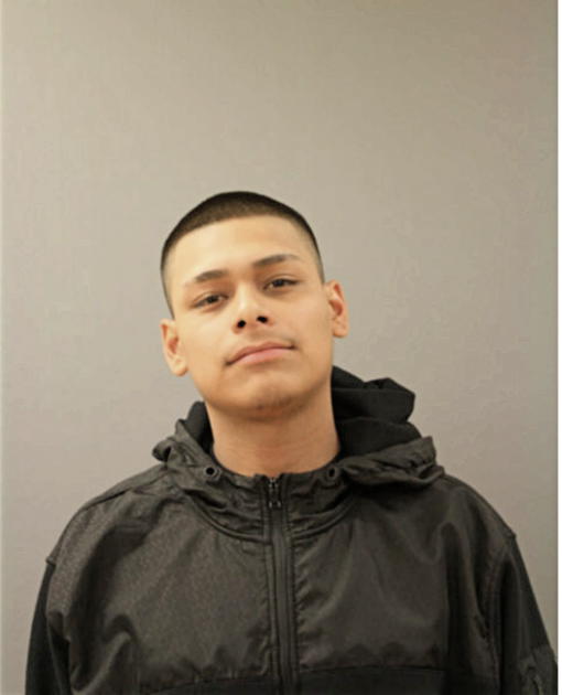 ANDRES G DELGADO, Cook County, Illinois