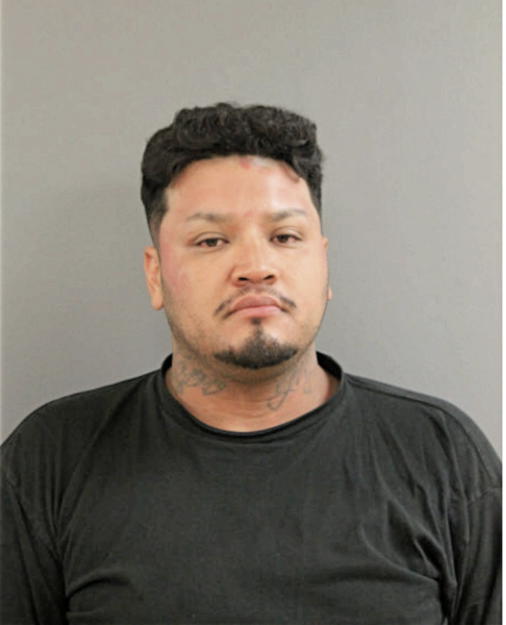 RAUL DIAZ, Cook County, Illinois