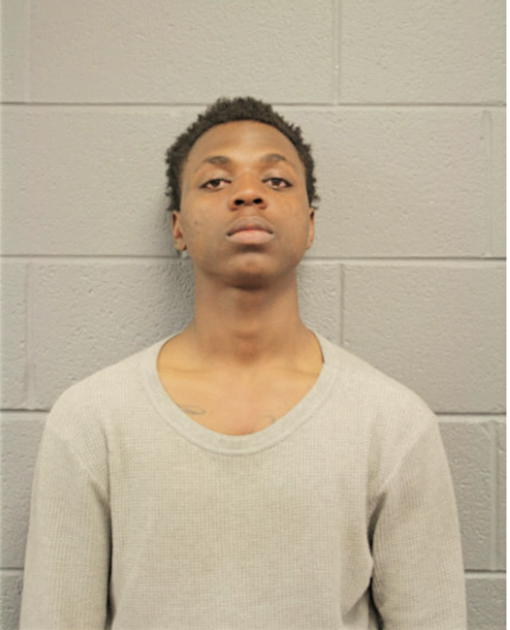 TIMOTHY L DIXON, Cook County, Illinois