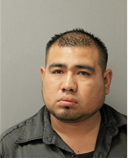 JORGE FITZ, Cook County, Illinois