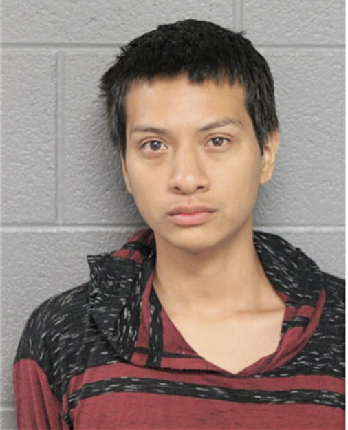 ERIK T FLORES, Cook County, Illinois