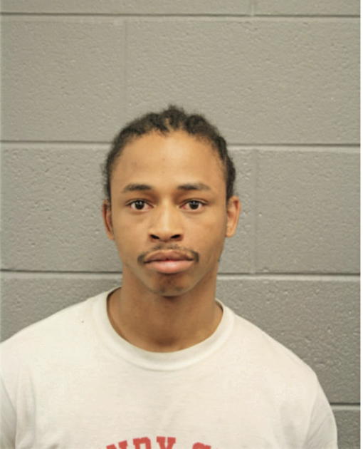 JOSHUA J GARNER, Cook County, Illinois