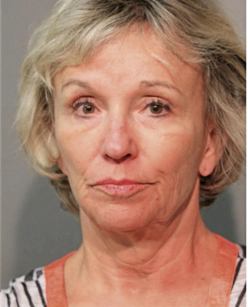 DIANE M GILBERT, Cook County, Illinois